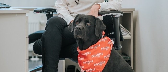 Meie kolleeg - Fujitsu esimene kontorikoer Pepe 