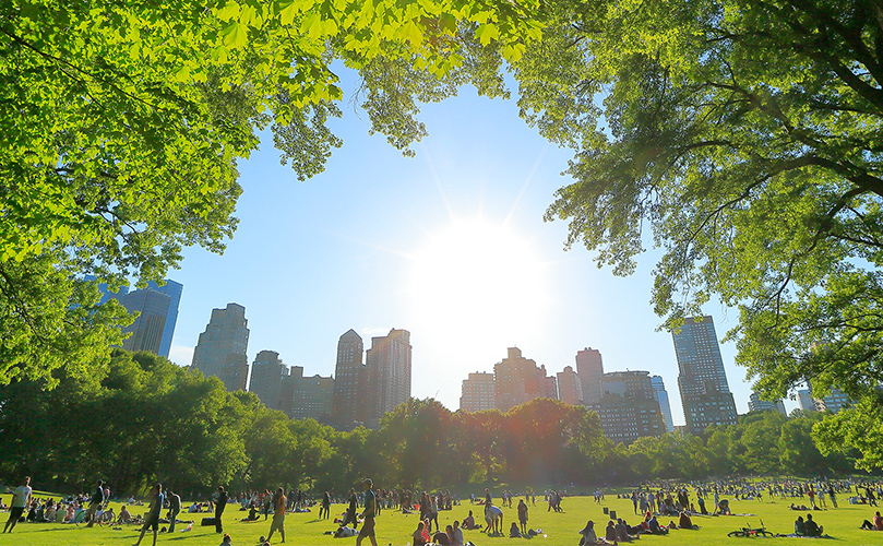 Fujitsu Integrated Report