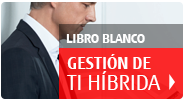 libro blanco Hybrid IT