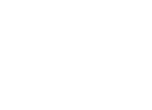 Technology Partners
