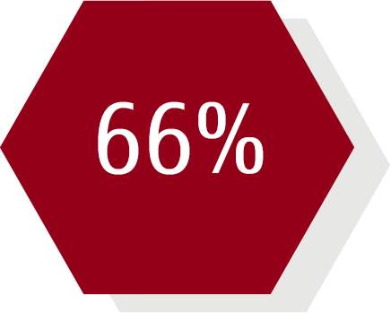 66% hexagon 66% hexagon