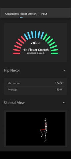 Kuvakaappaus sovelluksen takareisilihasten voiman analysoinnista-Picture1