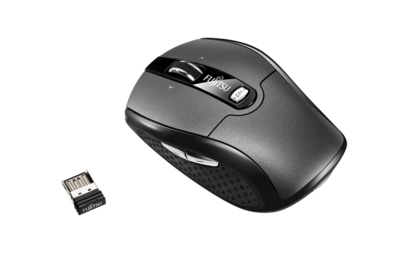 Mouse WI610
