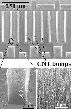 Figure 3: Carbon nanotube bumps