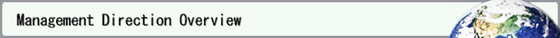 Management Direction Overview