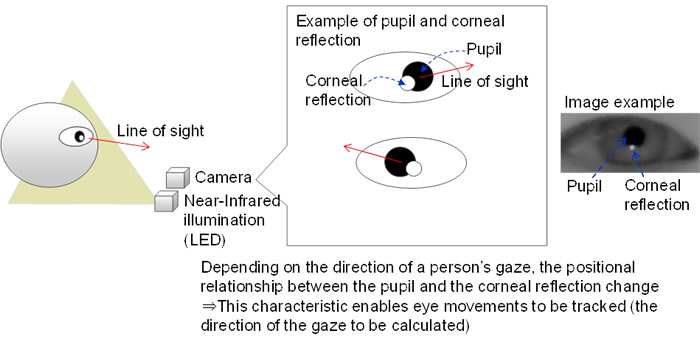 Measuring the Strength of a Person's Gaze