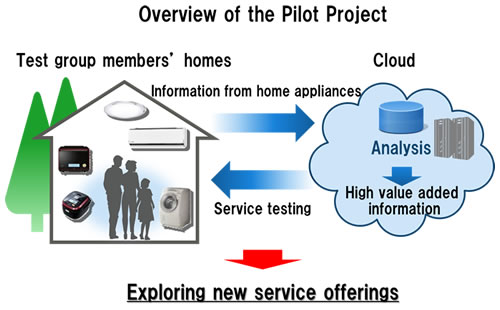 Overview of the Pilot Project