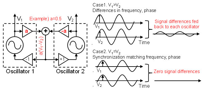 Figure 4. Low amplification signal to synchronize each oscillator