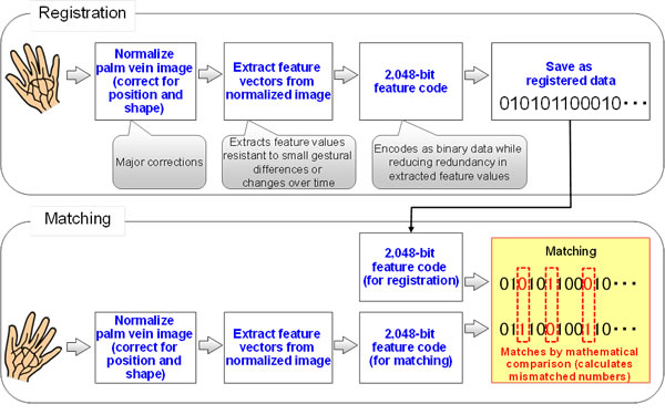 Figure 3: Overview of palm vein authentication using feature codes