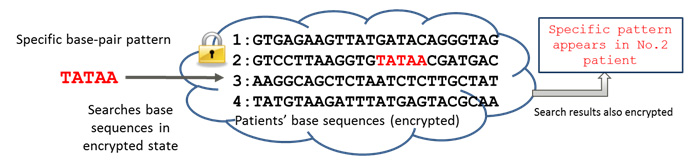 Figure 4. Custom medical application of private character string-search technology