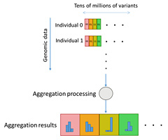 Figure 4: Aggregation processing using genome-type data structure