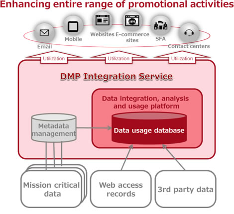 Figure: DMP Integration Service diagram