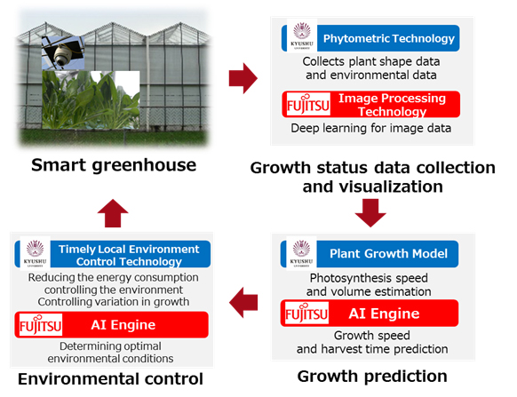 Figure: Diagram of the joint research project