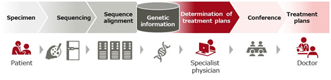 Figure 1 Positioning of the Investigation of Treatment Plans in Cancer Genomic Medicine