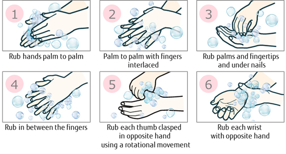 Figure 1: 6 Steps for Correct Hand Washing