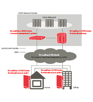 Figure: Overview of the femtocell system