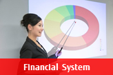 Financial System