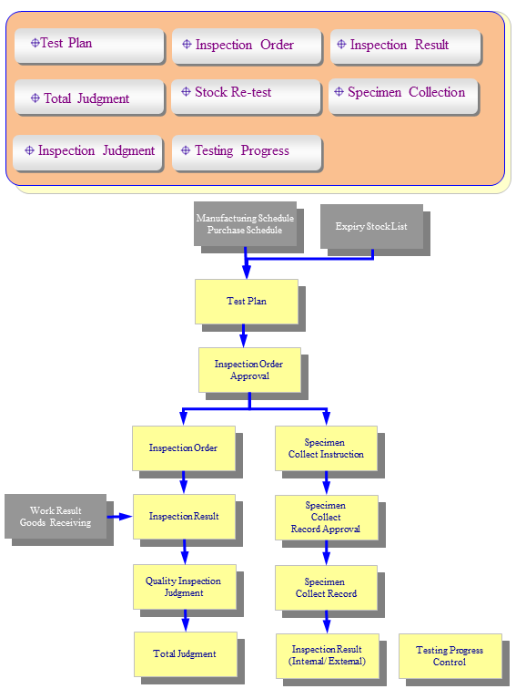 Quality Inspection Option Diagram