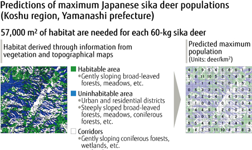 Predictions of maximum Japanese sika deer populations (Koshu region, Yamanashi prefecture) Predictions of maximum Japanese sika deer populations (Koshu region, Yamanashi prefecture)