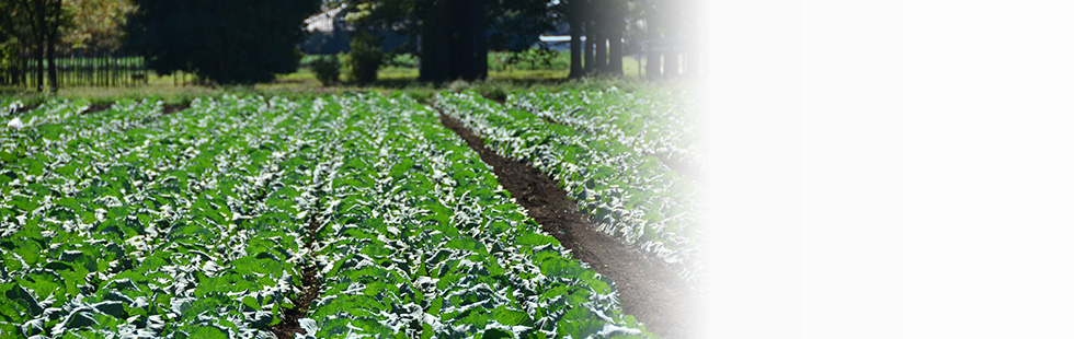 Aeon Agri Create Co., Ltd. Aeon Agri Create Co., Ltd.