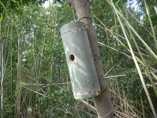 Installed nest boxes made from bamboo