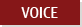 VOICE