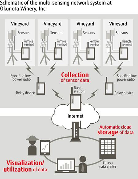 Schematic of the multi-sensing network system at Okunota Winery, Inc.