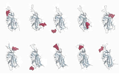 Fig. 2 Molecular Dynamics Simulations of Viral Proteins and Inhibitory Compounds