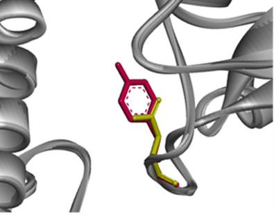 Fig. 3 Property prediction of mutant strains