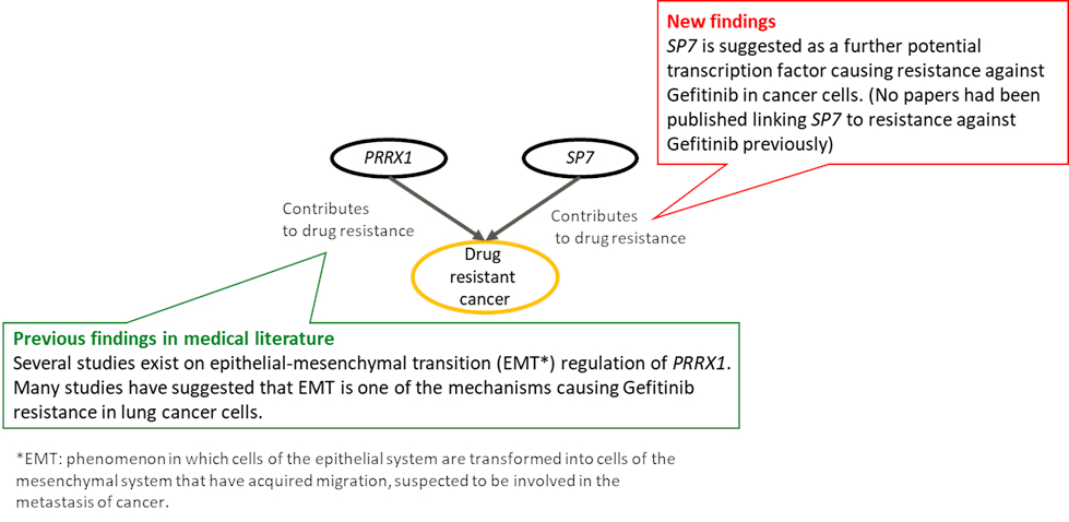 Causality of Gefitinib resistance in cancer cells suggested by the new technology