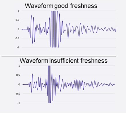 Image 3: Differentiations in waveforms of freshness quality that are difficult to detect with the eye, but can be identified by the AI