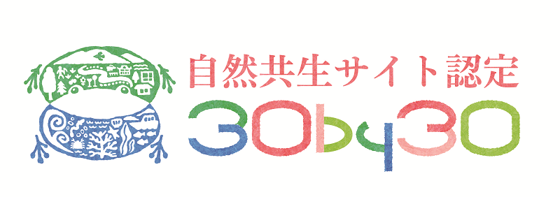 30 点中 30 点