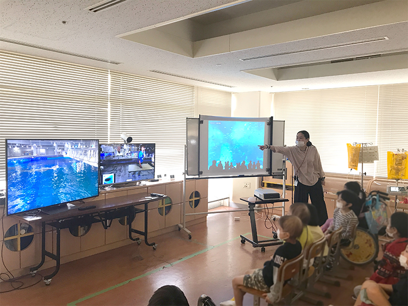 Children's Shouts of Joy in Experiential Learning "Swim With a Shark"