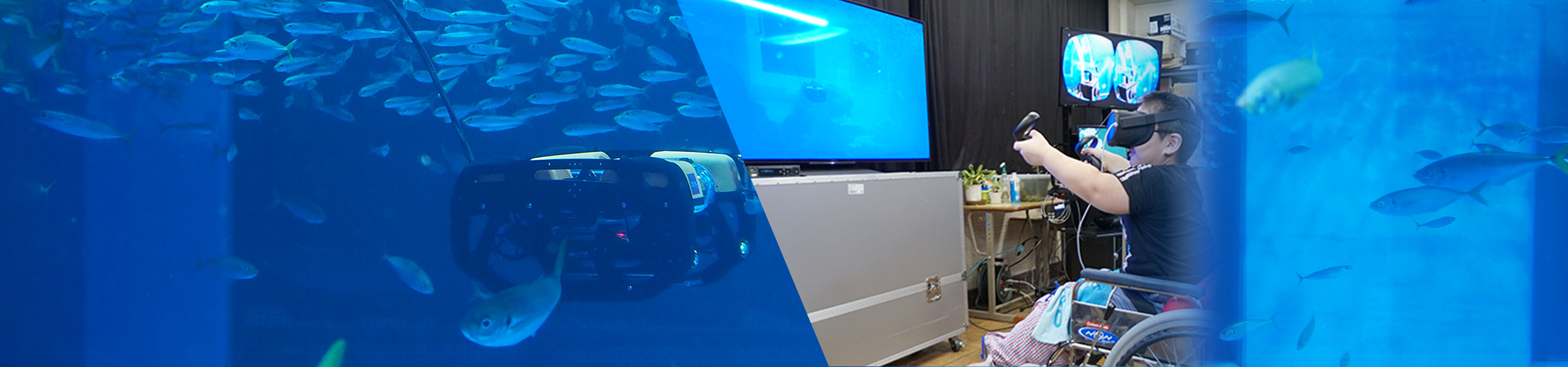 Design of 5G Remote Education -- Experiential Learning by Connecting an Aquarium and an In-hospital Classroom
