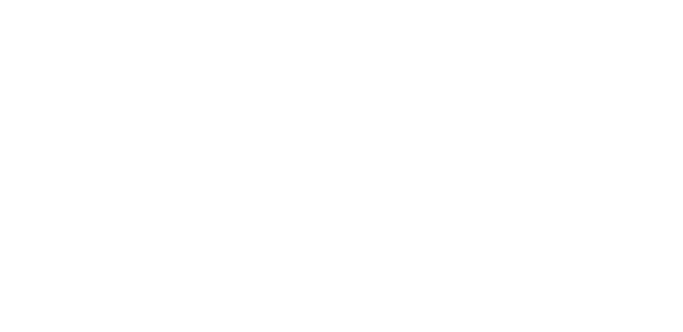 FJ Logo