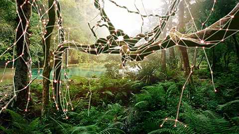 Build bridges in the data jungle