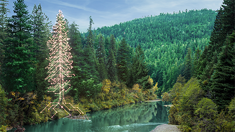 Evergreen, reliable and everlasting