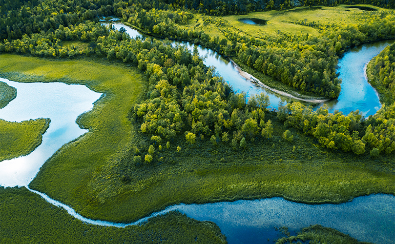 Aerial photography of lush green landscapes