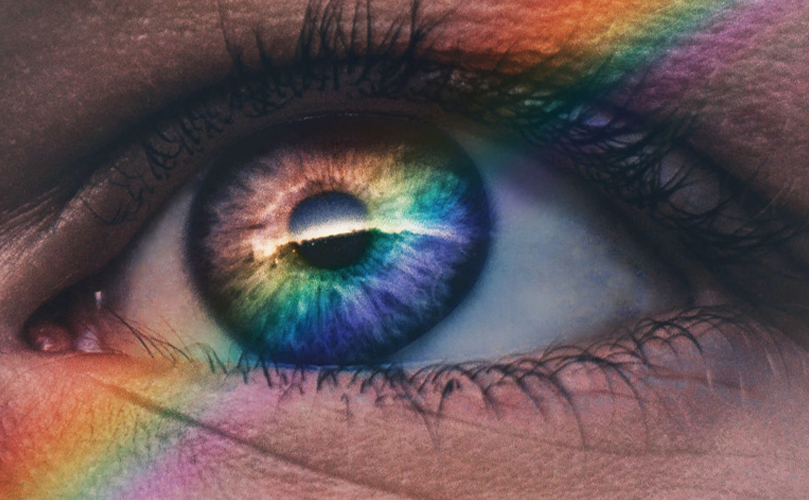 Pride and belonging – priorities for workplace inclusion
