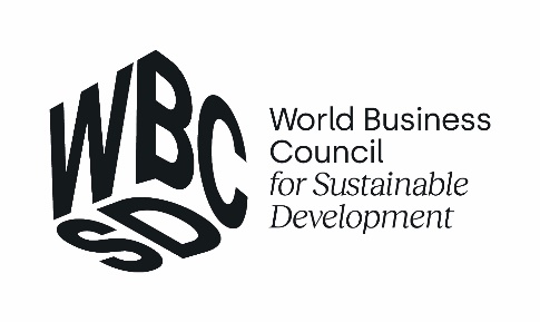Chief Sustainability Officers for SDGs 2022 - WBCSD virtual meeting