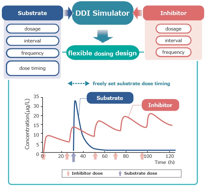 Feature7 Optimizing the dosing schedule to minimize the effects of drug interactions