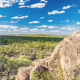 Uses AI to process thousands of drone image and helped to find and monitor hard-to-reach threatened species