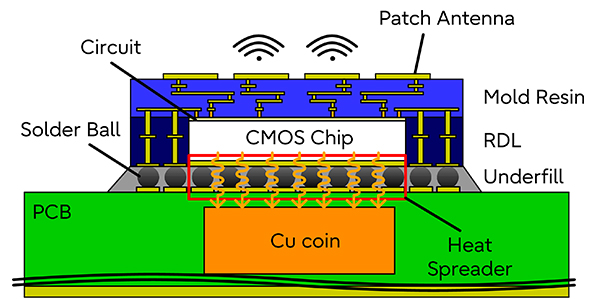 Fig.3 Cross section view of face up configuration RDL Antenna-in-Package