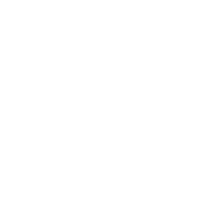 Icon network flower