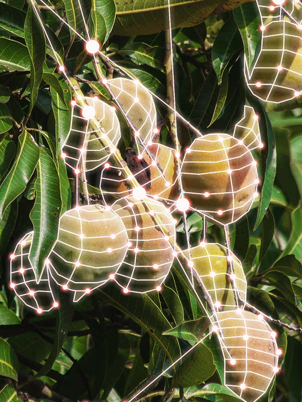 img-gig5-mango-parallax-scrollable-text-605x805px