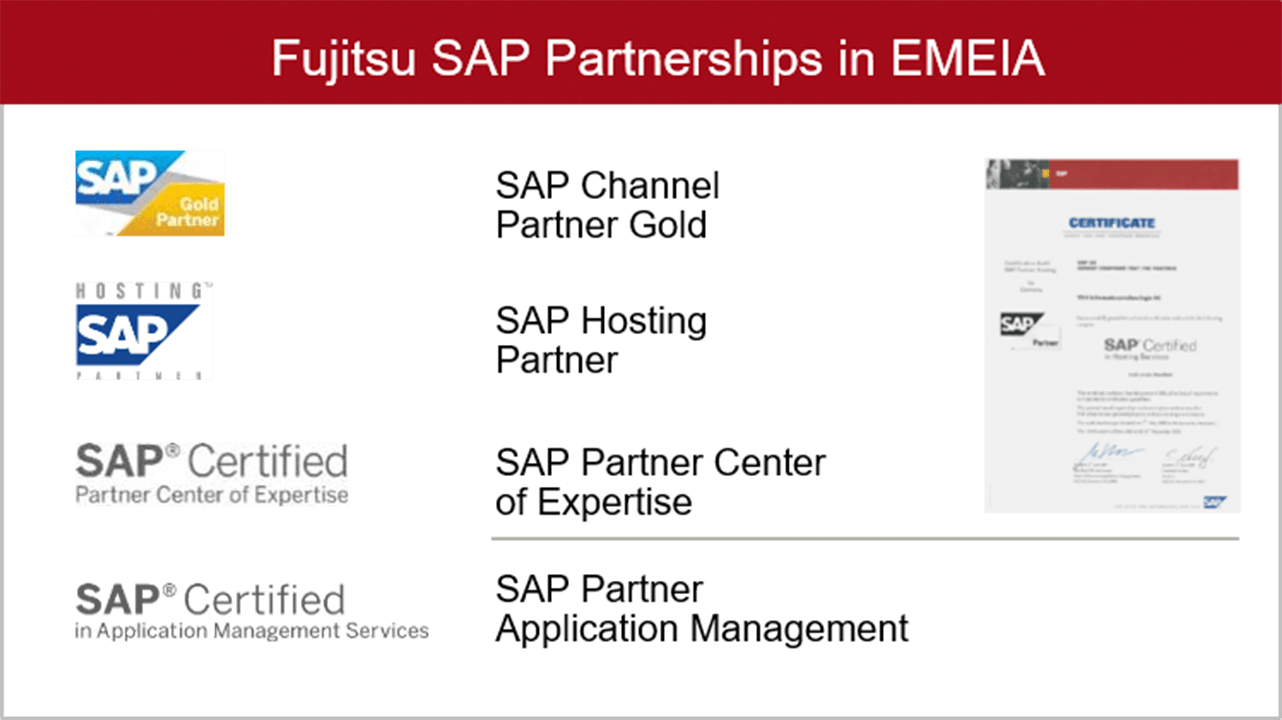 SAP EMEIA-Partnerschaften