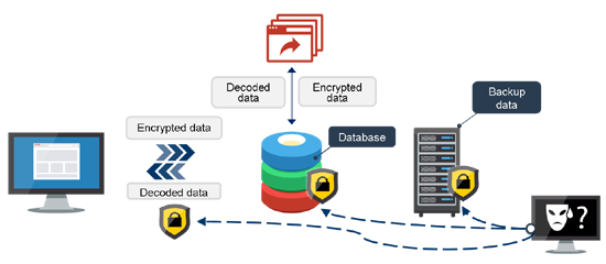 Diagram of Symfoware secured environment