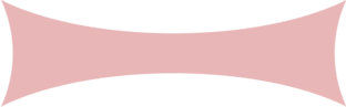 stats2-bridge