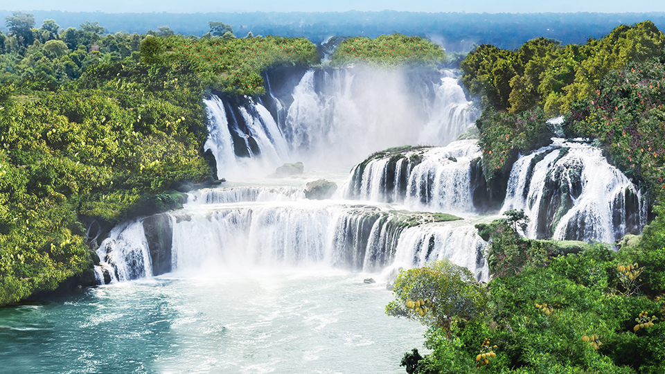 teaser-banner-data-jungle-server-960x540px
