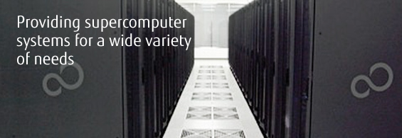 Providing supercomputer systems for a wide variety of needs